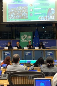 Irene Lanyero inn Europees Parlement