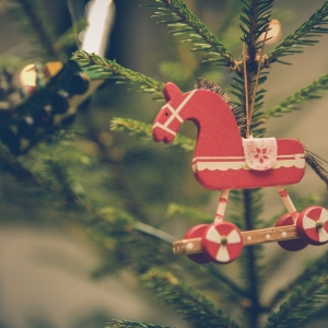 Zet jij dit jaar een ecologische kerstboom?